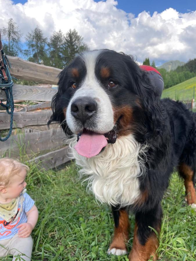 Ferienwohnung Rosengarten Am Manoetscherhof Cornedo all'Isarco Esterno foto